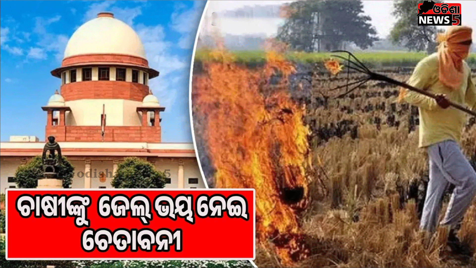 କିଛି ଚାଷୀଙ୍କୁ ଜେଲ୍ ପଠାଇବା ଦ୍ୱାରା ଅନ୍ୟମାନେ ସଜାଗ ହେବେ: ସୁପ୍ରିମକୋର୍ଟ